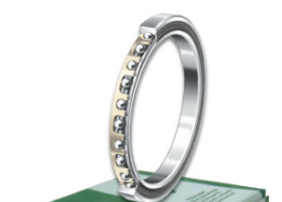 INA CSXF120 bearings